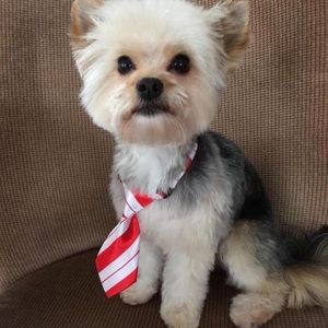 Meet your Posher, Sheri